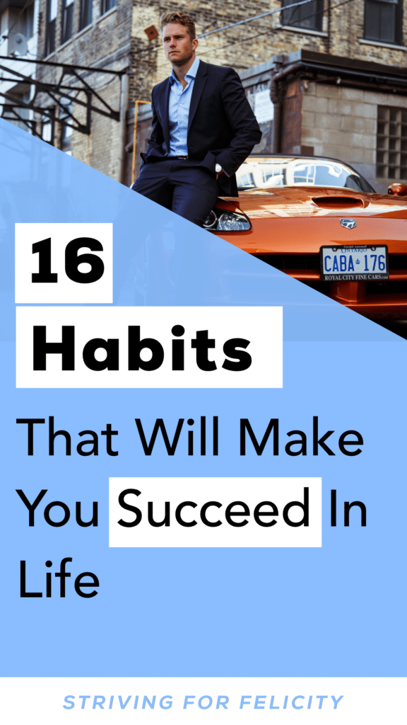 Striving for Felicity 16 Habits Of Highly Successful People